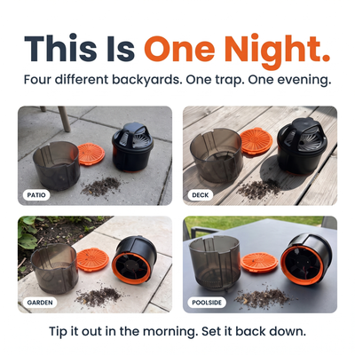 Vortrap Mosquito Trap